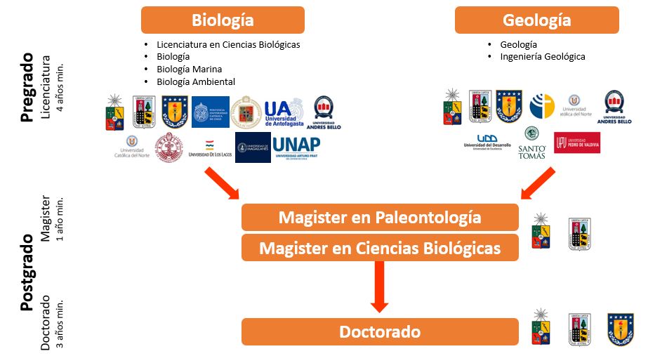 Cómo estudiar paleontología en Chile